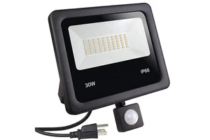 30W IP66 White/RGB High Frequency Flood Led Light