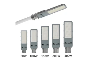 Cheap Style Public Road Lighting IP65 Outdoor Waterproof Aluminum Alloy SMD AC 30W-200W Pole Street Light Motion Sensor Alexa