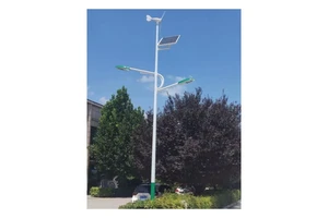 Wind and Solar Hybrid Street Lamp System High Quality Outdoor IP66 Aluminum 150W LED Street Lights