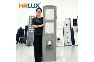 Professional Manufacturer Custom OEM 50W 60W All-in-one Solar Street Light IP66 Warm White Villa Yard Outdoor Lamp