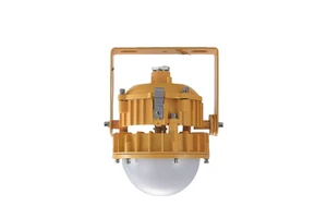 Explosion Proof LED Floodlights 30W 36V 1 Year Warranty GYPEX Brand for Metal Processing & Metallurgical Industries