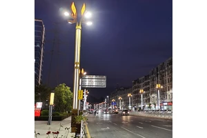 Wholesale Good Quality Outdoor Garden Lighting Street Lamp Led150W