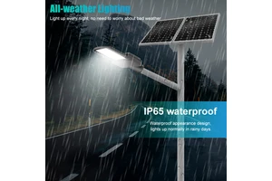 BOSUN New Product 80W 100W IP65 Aluminum Split Solar Street Light Waterproof Outdoor Road Highway Application Solar Lights