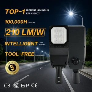 CE Certified LED Street Lamp With High Impact IK10 Protection
