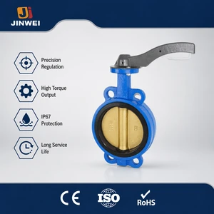 Double Flange Lug Type Electric Butterfly Valve Water Oil Port Size Pressure 80C Temperature Pipe Fittings