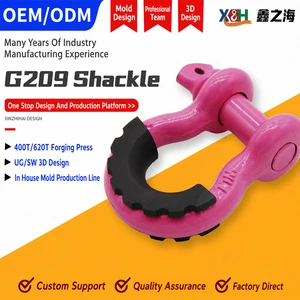 Industrial Alloy Steel Ce Certified Bow Shackle D Shackle Screw Pin Durable Lifting Shackle