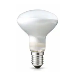 Matte R90 Reflector 100W 220V E27 Warm White 2700K Outdoor Use 1600 Lumens 2-Year Warranty Lighting Bulbs & Tubes