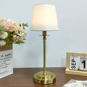Decorative Table Lamp Ornament, Rechargeable Bedroom Bedside Multi-functional Dimmable Ambient Light, LED Hotel Restaurant Light
