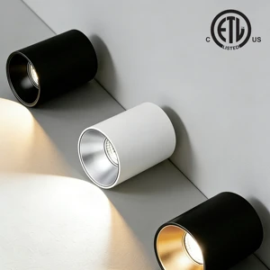 Nordic Style Adjustable-Angle IP65 Aluminum LED Downlight Commercial Corridor Project Surface-Mounted Dimmable Cob Spotlights