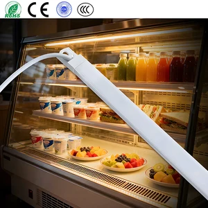 Professional DC 12V 24V LED Linear Light 165 Degree Wide Beam Angle for Low-Temperature Environments IP67 Waterproof