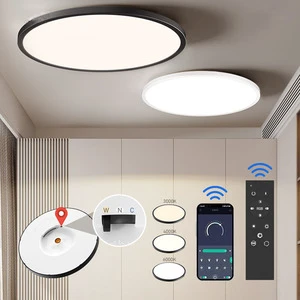 Nordic Design Home Warmth Chandelier Ceiling Lamp LED Ceiling Lighting for Indoor Decorative Bedroom Living Room