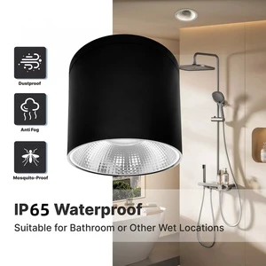 IP65 Surface Mounted Downlight 10W 13W 15W 3CCT 3Power Dimmable Die-Cast Aluminum SMD Downlight Corridor Garden Hotel Spotlight