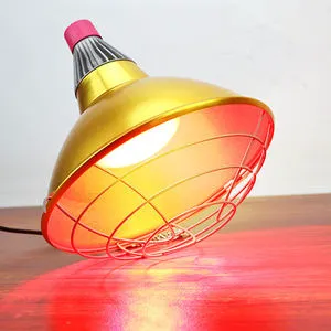 Farmhouse Style Round Gold Aluminum Anodized Finish Heat Lamp Reflector Shade 2m Cable Chain for Light Covers Easy Installation