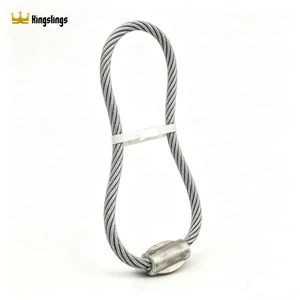 Stainless Steel 304 Galvanized Single Leg Pressed Wire Rope Assembly with Thimble and Hook CE Certified for Towing