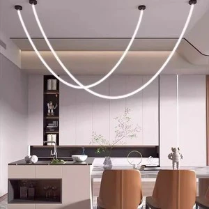12V 24V Oval Neon Tube Modern Flexible Silicone LED Profile Light 22mm Diameter Dimmable 3000K-6000K Color Temp Switch Control