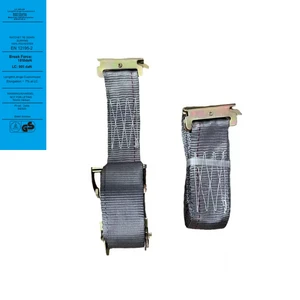 50mm 2in 20ft Gray E-Track Tie Down Strap With Spring E Fittings Polyester Webbing Cargo Lashing Ratchet Buckle Strap