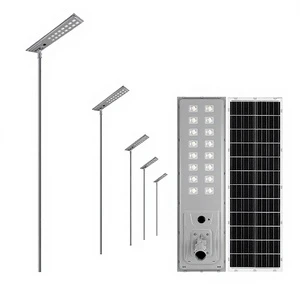 Solar Outdoor Light Human Body Induction Courtyard Light All-in-one Household Yard Lighting Street Lamp Super Bright LED IP65