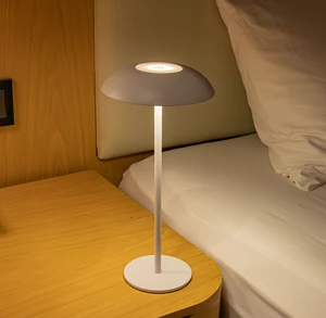 Decorative Lamp Ornament Dimming Touch Ambiance Rechargeable Table Lamp Bedroom Bedside Night Lights