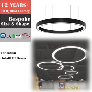 Custom Round Lamp Shape Large Curve Linear Light