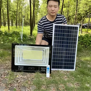 Super Bright Garden Outdoor Flood Lights New Arrival Waterproof 25w 40w 60w 100w 200w 300w Professional Solar Led Floodlight