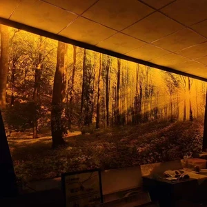Tradeshow Exhibition Light Box High Brightness LED Backlit Decorative Customizable Size Color Eco-Friendly Freestanding Display
