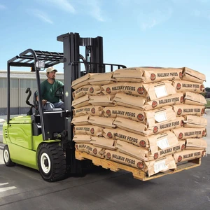 Small Electric Forklift 1500kg 2000kg 3000kg 4000kg 5000kg Mini Pallet Stacker Truck