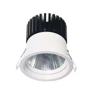 Modern Design 30W LED Cut Hole 97mm COB Downlight 90 CRI Customizable Color Temperature 3-Year Warranty AC 85-265V for Jewelry