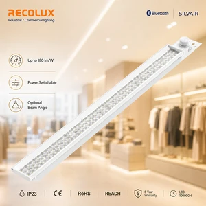 OEM LED Batten Luminaire Custom Beam Angle Linear Light Fixture for Commercial and Industrial Use