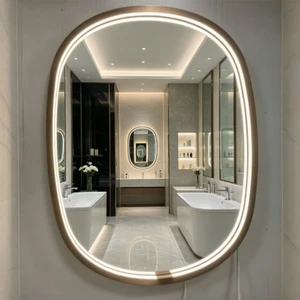 Hotel Style Contour Oval LED Bathroom Mirror 20W Dual Color Light Strip with 24W Driver Touch Control & Anti-Fog