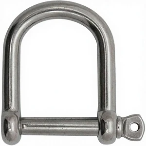 Stainless Steel Wide D Shackle