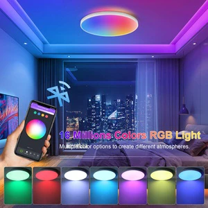 RGBCW 24W Ceiling Light Three-Proof Model 001 Round Black Frame 30cm Graffiti Five-Channel Indoor Ceiling Lamp