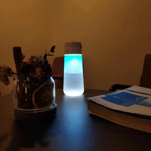 LED Mood Glowing Water Cup 450ML Smart Lighting Bulb USB Rechargeable Light Atmosphere Bulbs Water Bottles Spotlight