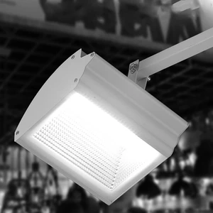 Changeable Expo Lighting Led Exhibition Light High Power AC220-260V 70W Aluminum Iron 3 Colors AC 80 COB 10000 120W 220-260V