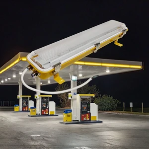 Professional Gas Station LED Tri-Proof Light IK10 Explosion-proof 304 Stainless Steel Housing IP66 SMD2835 LED Dimmable
