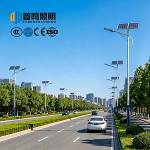 Split Solar Street Light (pole Height 4-6m), IP65 Waterproof, Built-in 45000mAh Battery, CE Certified, Suitable for Roads.