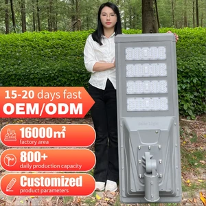 Aluminium Smart 220lm/W Solar Lights Outdoor Lighting Motion Sensor Waterproof 100W 200W 300W All in One Solar Street Light