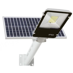 China Remote Control Waterproof Other 10W-300W DC Aluminum Outdoor Led Street Garden Solar Power Light