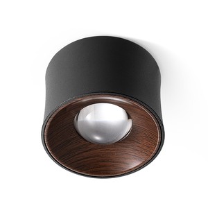Walnut Wood Grain Decorative Small LED Ceiling Lamp Ceiling Light Downlight for Living Room Corridor Home Living Room Kitchen
