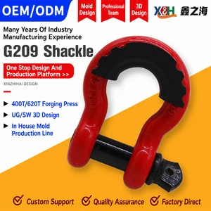 High Strength Marine Grade Stainless Steel Bow Shackle D Shackle Screw Pin Rigging Shackle For Offshore