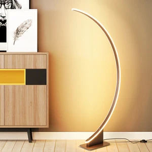 Nordic Minimalist Curved Line Floor Lamp Hotel Corner Atmosphere Lamp Vertical Bedside Floor Lamp