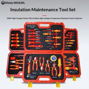 Professional Electrician Hand 1000V Stainless Steel VDE Insulated Tool Set 25PCS OEM