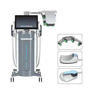 Newset 2 in 1 10D Laser Green Red Light 532nm 635nm With Four Handles EMS Body Muscle Shaping Machine