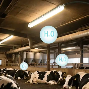 4FT 5FT Negative Ion LED Three Proof Lamp IP65 Waterproof Three Proof Lamp Pig Farm Chicken Farm Cattle Farm Sterilization Lamp