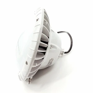 Maintenance-free LED Tri-proof Light Shanghai New Dawn National Standard FZD1300 20W~80W IP66 AC220