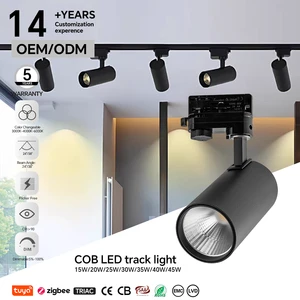 Factory Direct COB LED Track Light 15W 1350lm High CRI 90 Built-in Driver, 2-Wire Non-Dimmable Track Head for Boutique