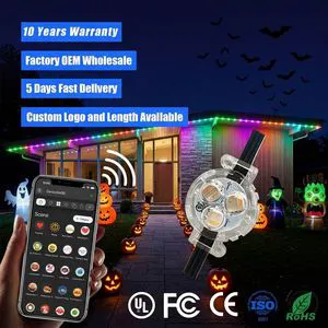 IP68 Waterproof Outdoor Permanent Christmas Lighting 12V 24V 36V Track Pixel Point Light For Building Decor