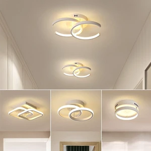 Minimalist Dimmable Acrylic Art Mount Decorative Fancy House Lighting Modern Restaurant Living Room Led Ceiling Lamp for Indoor