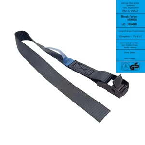 Capacity 250KGS 25mm Black Coated Cam Buckle Polyester Webbing Cargo Lashing Straps Custom Length Ratchet Tie Down Straps