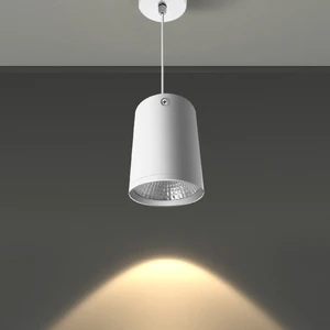 ETL JA8 T24 110-347V DALI Dim to Warm 12W CRI 97 White Full Spectrum COB Surface Mounted LED Hanging Downlight