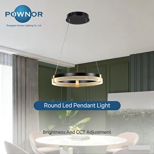 Modern Nordic Designer Pendant Light LED Remote Switch Control Ostrich Feather French Art Long Dinning Home Wedding Decor Lamp